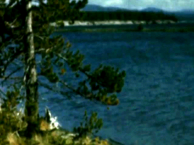 Pure glitch aided by Signal Culture apps. Highly pixellated scene of pine trees to the left and lake to the right on a sunny day get wiped left to right. In the wake is a rippling and banding of cells of bold colours.