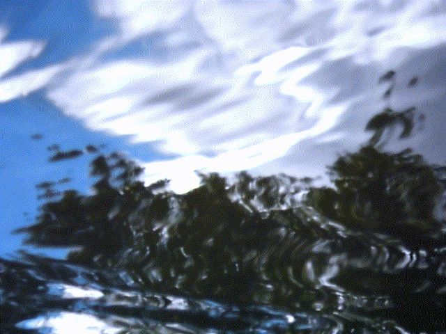 The rippling of sky above and trees below, as reflected in the Humboldt Park lagoon in Chicago IL.